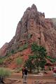 zion6111