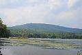 catskill1429
