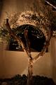greece0296